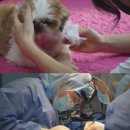 구강농장 이미지