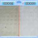 금오산낙협동물병원 | [공지] 비염 알레르기와 아토피 피부염으로 고생했었던 제가 직접 주거환경 개선을 위해 '포근한홈케어...