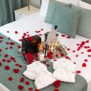 올라호텔 이미지