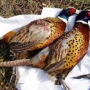 대명식당 이미지