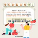 우리손푸드 이미지