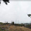 대정생활야구장 이미지