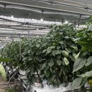 세광농장 이미지