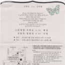 세평초 이미지