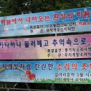 추억속에 하얀집 Daum카페