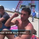 판다나라 이미지