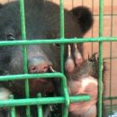 이학영 농장 이미지