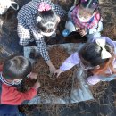 금란어린이집 이미지