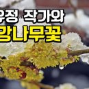 김유정 작가와 생강나무꽃 이미지