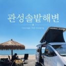관성 | 경주 관성솔밭해변 애견동반 노지캠핑 후기, 바다 앞 차박 성지에서 보낸 2박3일 🌊
