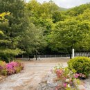 산정호수맑은물캠핑장