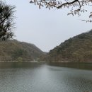 옥천군동이면석탄보건진료소 | 첫 차박 성공적 옥천팜랜드 노지캠핑