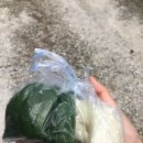 법화유치원 | 부처님오신날 제천송화사 산책
