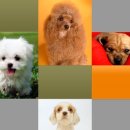 주식회사 우리가제약 이미지