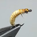 리얼타잉 ..Caddis Larva Fly 이미지