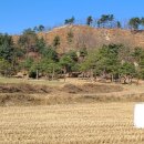 양지-3007 이미지