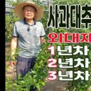 대박 제2농장 이미지