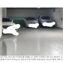 주차39 이미지