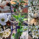 검암중학교 이미지