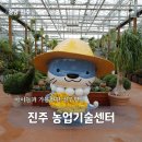 진주 두메실농업테마파크 진주 가볼만한곳 연중 무료 아이랑 산책 꽃양귀비부터 미니동물원까지 총정리