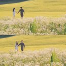 전역 스냅사진 추천 | 세인스냅 촬영 후기