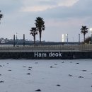 김녕약국 이미지