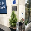 올더디저트 이미지