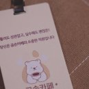 로시난테 이미지