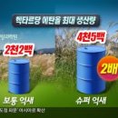 억새2축구장 네이버블로그