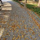 한울공원 족구장,농구장 | 수원단풍명소 효원공원 월화원 도심 속 중국 정원의 매력 완벽 가이드