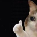 아카데미PC 이미지