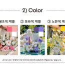 앵지스파티