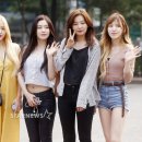 레드벨벳