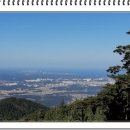 어단1리 이미지