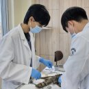 강원대학교 야생동물구조센터 데일리벳