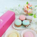 루나카롱 이미지