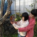 해인어린이집 이미지