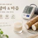 산약마 | 마 효능 산속의 장어라 불리는 이유, 몸에 좋은 점