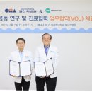 인터메드 파이낸셜뉴스