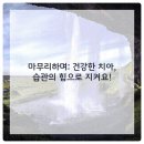 센텀치과의원 이미지