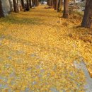 태장2동주민센터 이미지