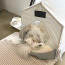 본식 웨딩드레스 맞춤 제작 후기 : 삼청동 델라베일 피팅 (가격, 제작기간)