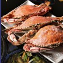 선주네 생선팜 이미지