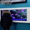 전학수소아청소년과의원 이미지