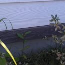 진**(단독주택) 이미지