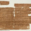 서울파피루스 이미지