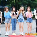 펀치