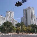 은평-046 이미지