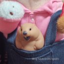 냠냠뽑기 이미지