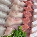 회포마차 이미지